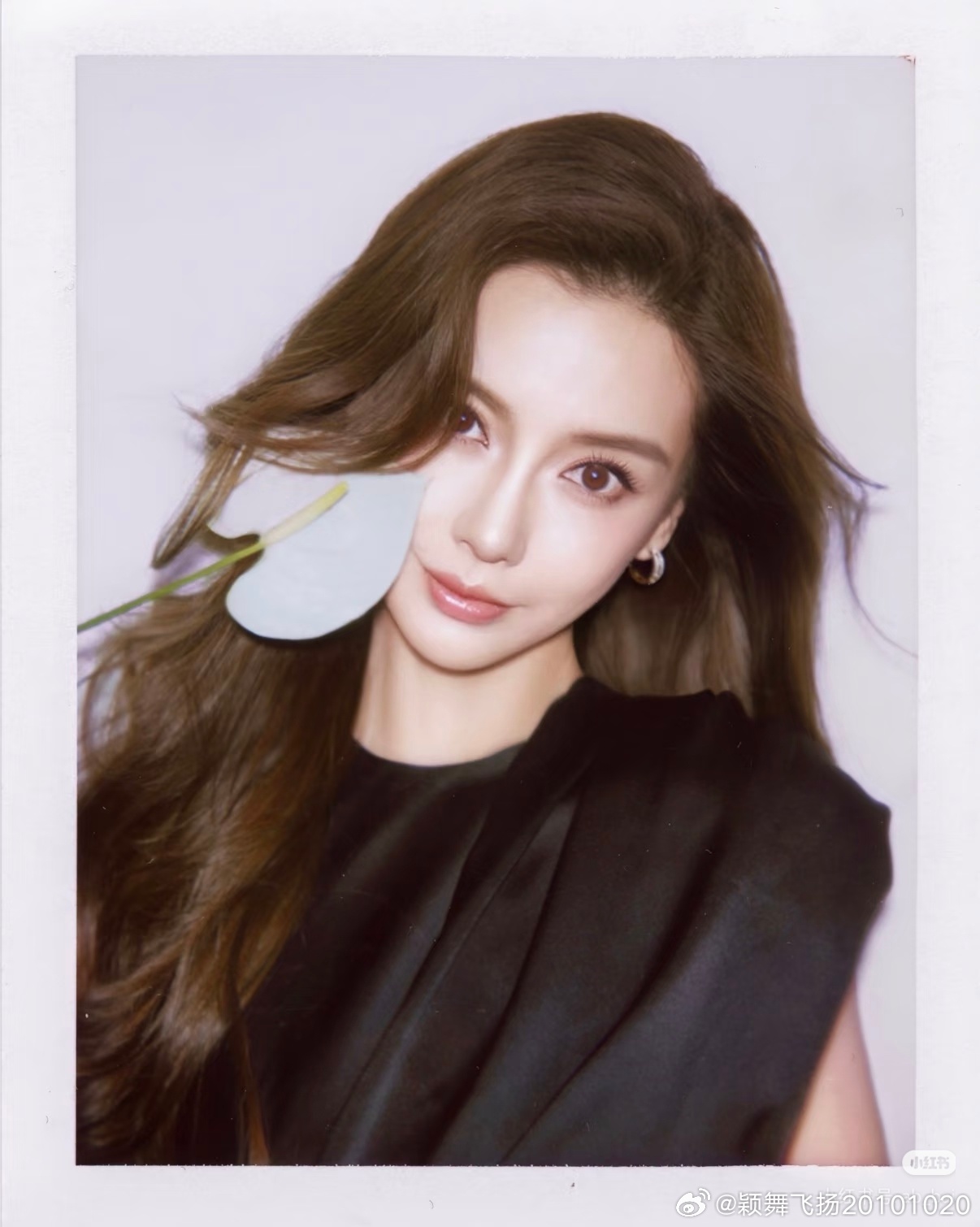 angelababy纽芝兰代言人angelababy杨颖 太阳遗落在云间，你携带