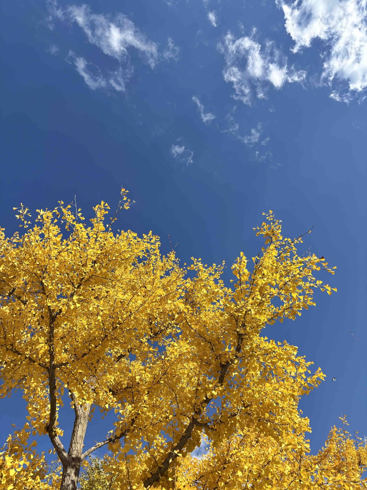 人，对一件小事，记仇能记多久？

一个朋友25岁的时候，表嫂给她介绍一个42岁的