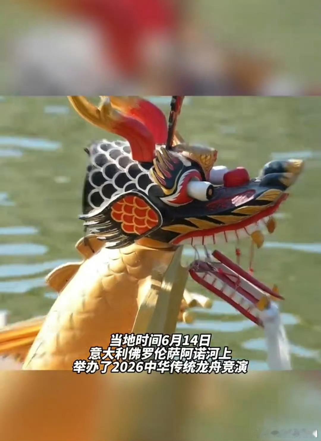 从西溪划到阿诺河的龙舟漂向阿诺河的西溪龙舟承载千年底蕴，频繁和外国友人互动能更好