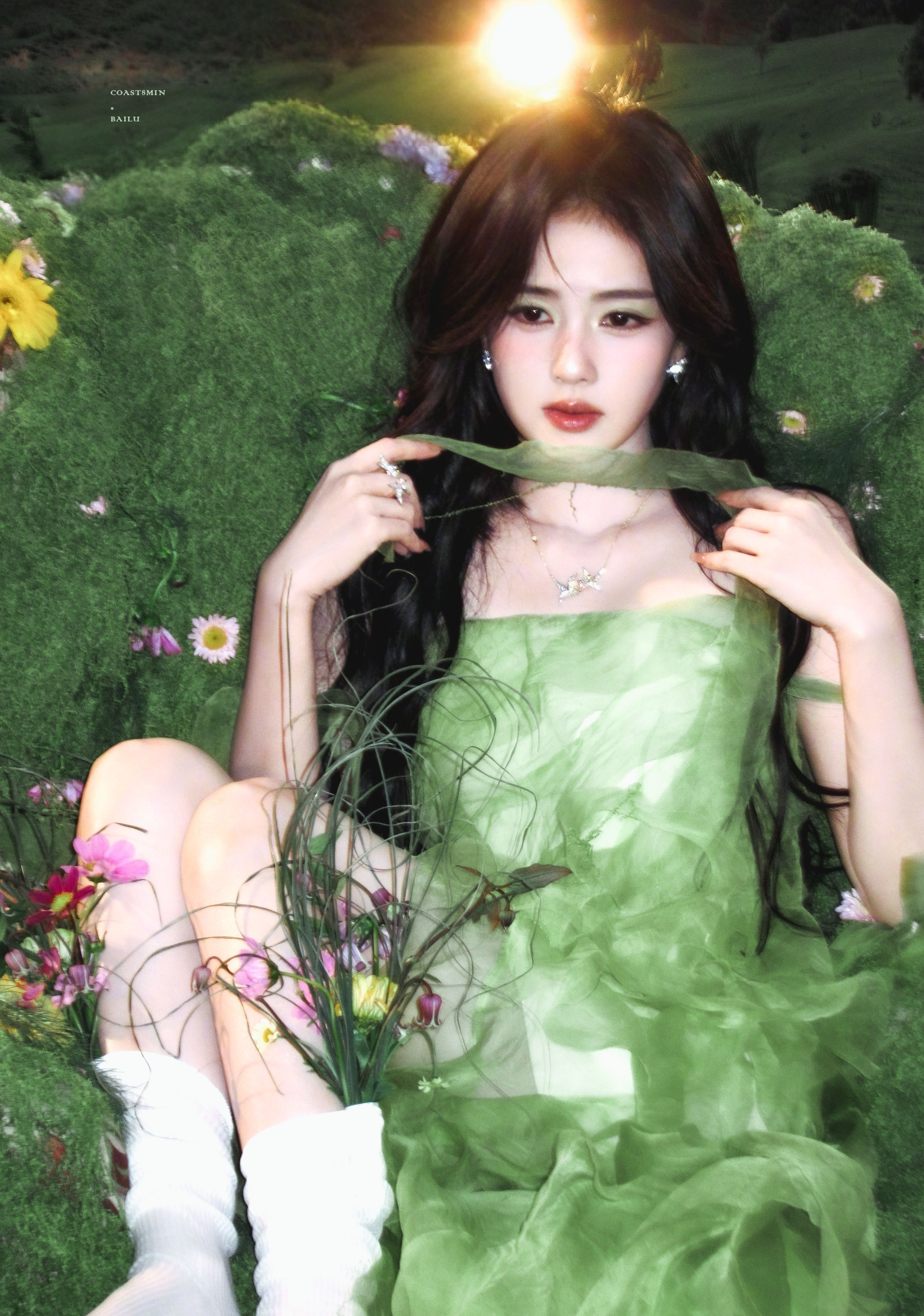 白鹿 🍃 生命绮梦 ​​​​