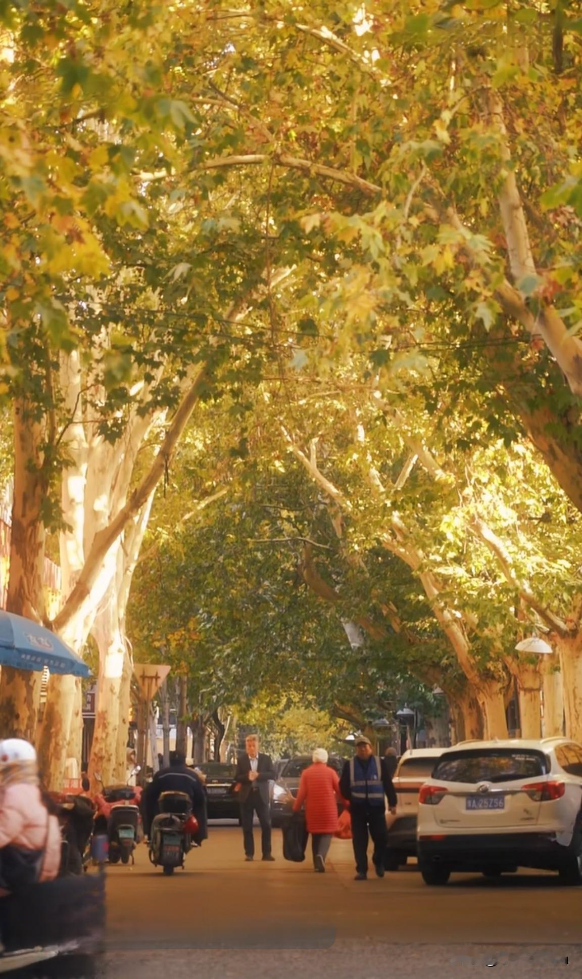 人总是要用微笑来面对生活，做一个情绪稳定的成年人，才会好运常伴。