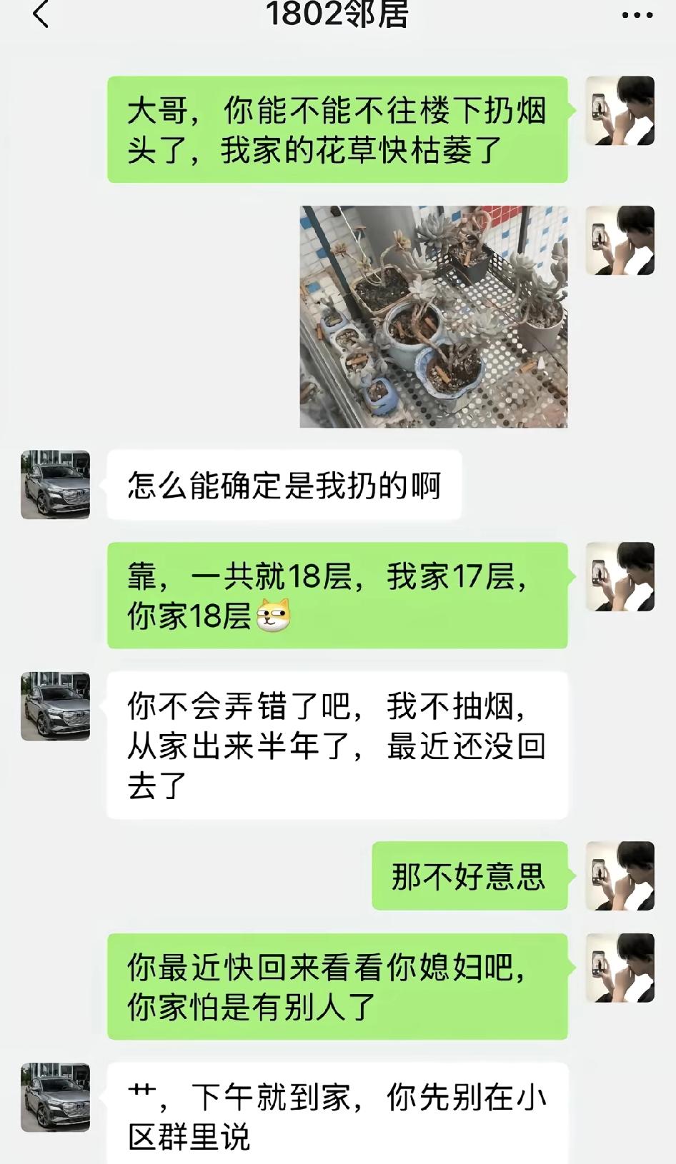 绿油油的！这是个悲伤的故事…
不用找帽子叔叔了，楼下邻居给破案了。怪不得枯萎了，