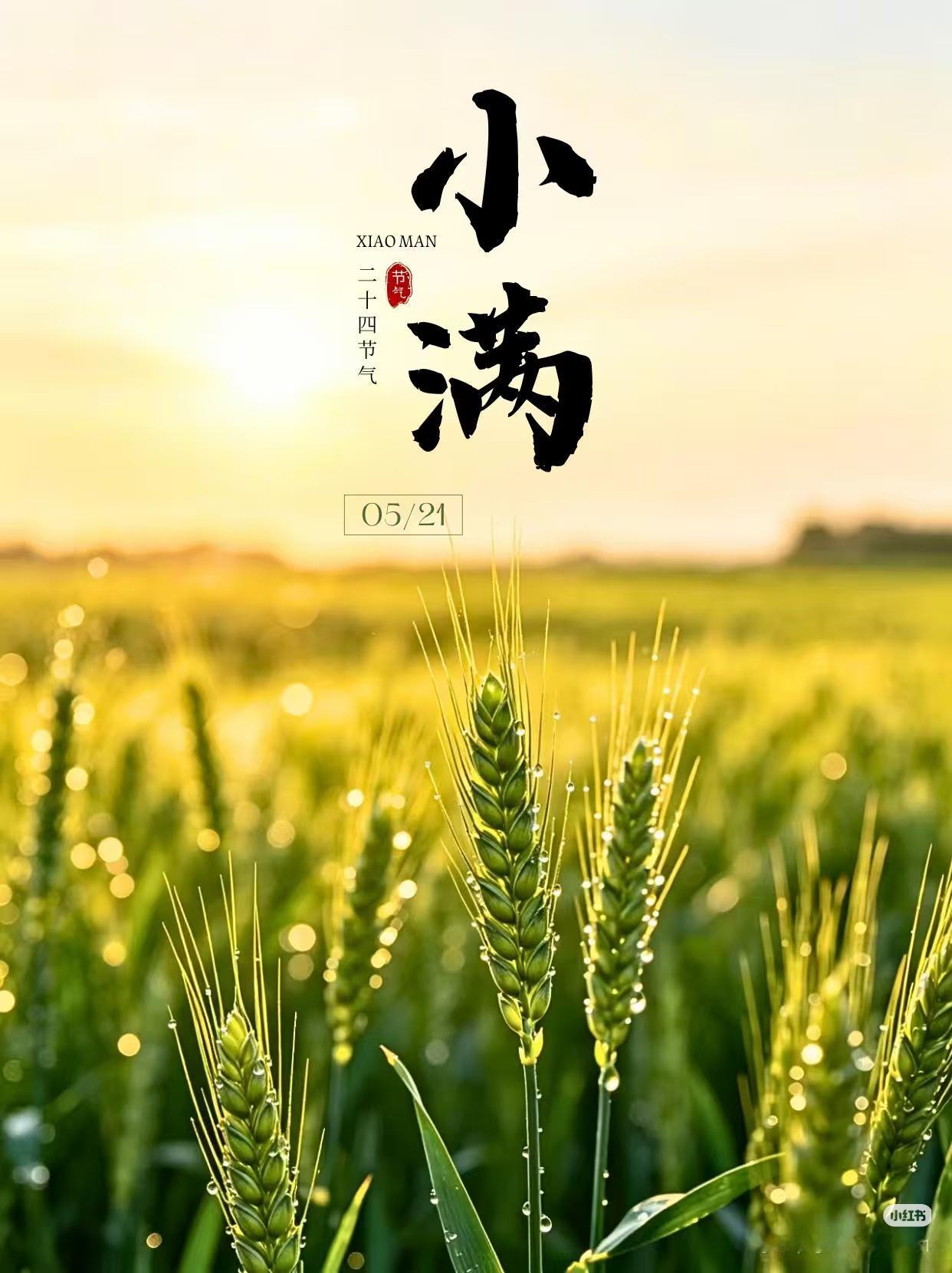 谁能想到浪漫的521恰好撞上小满节气，这份撞满怀的温柔，藏着古人最通透的处世道理