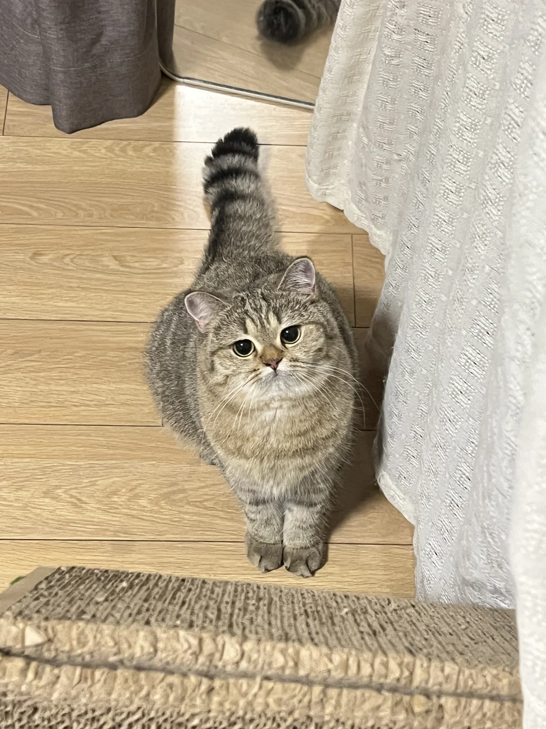 脖子离家出走了？