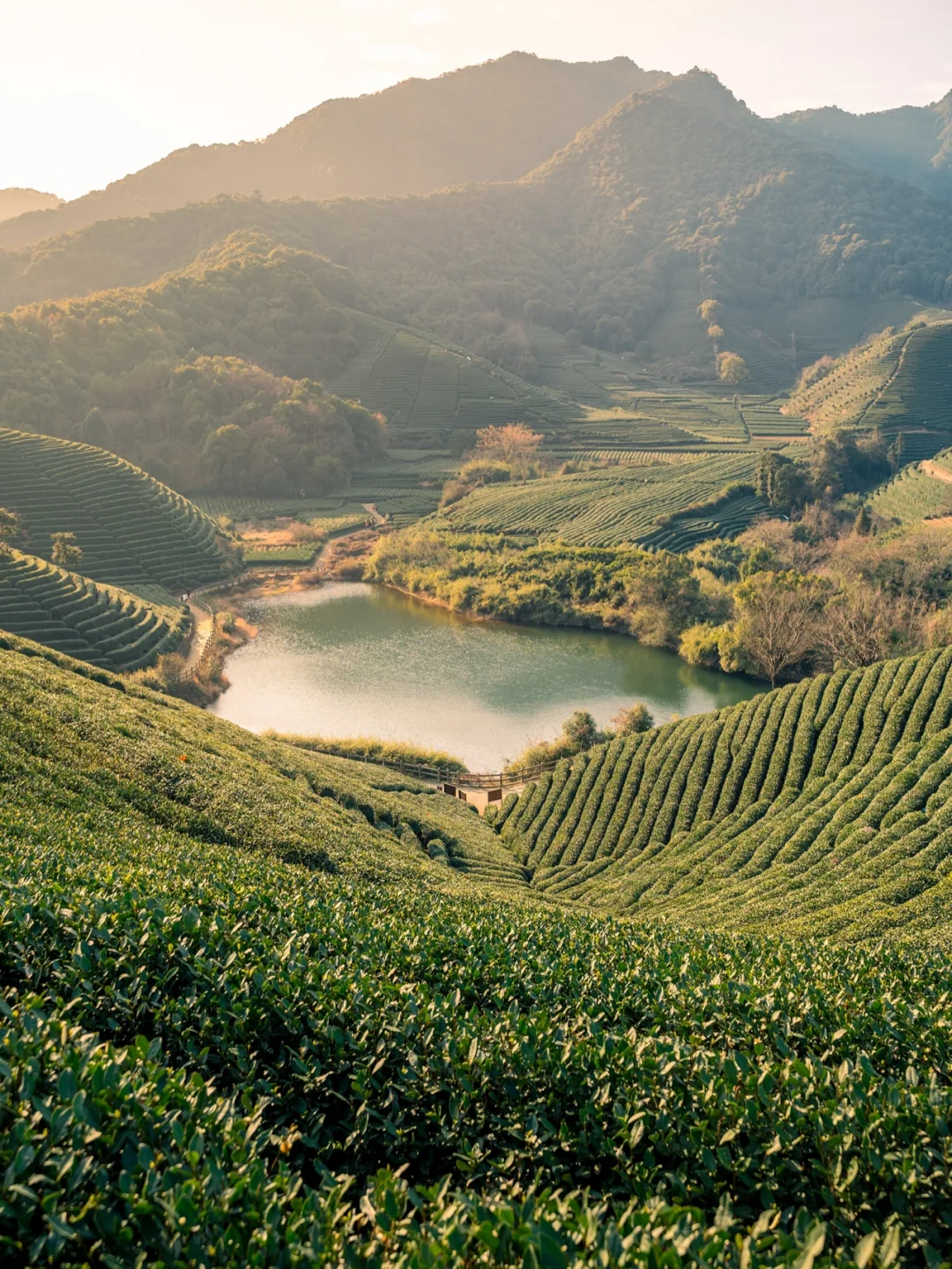 杭州徒步｜拒绝雾霾🌲感受斯里兰卡般的美景