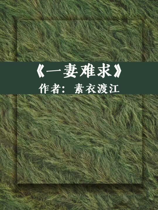《一妻难求》强取豪夺！十几年书龄者强推113