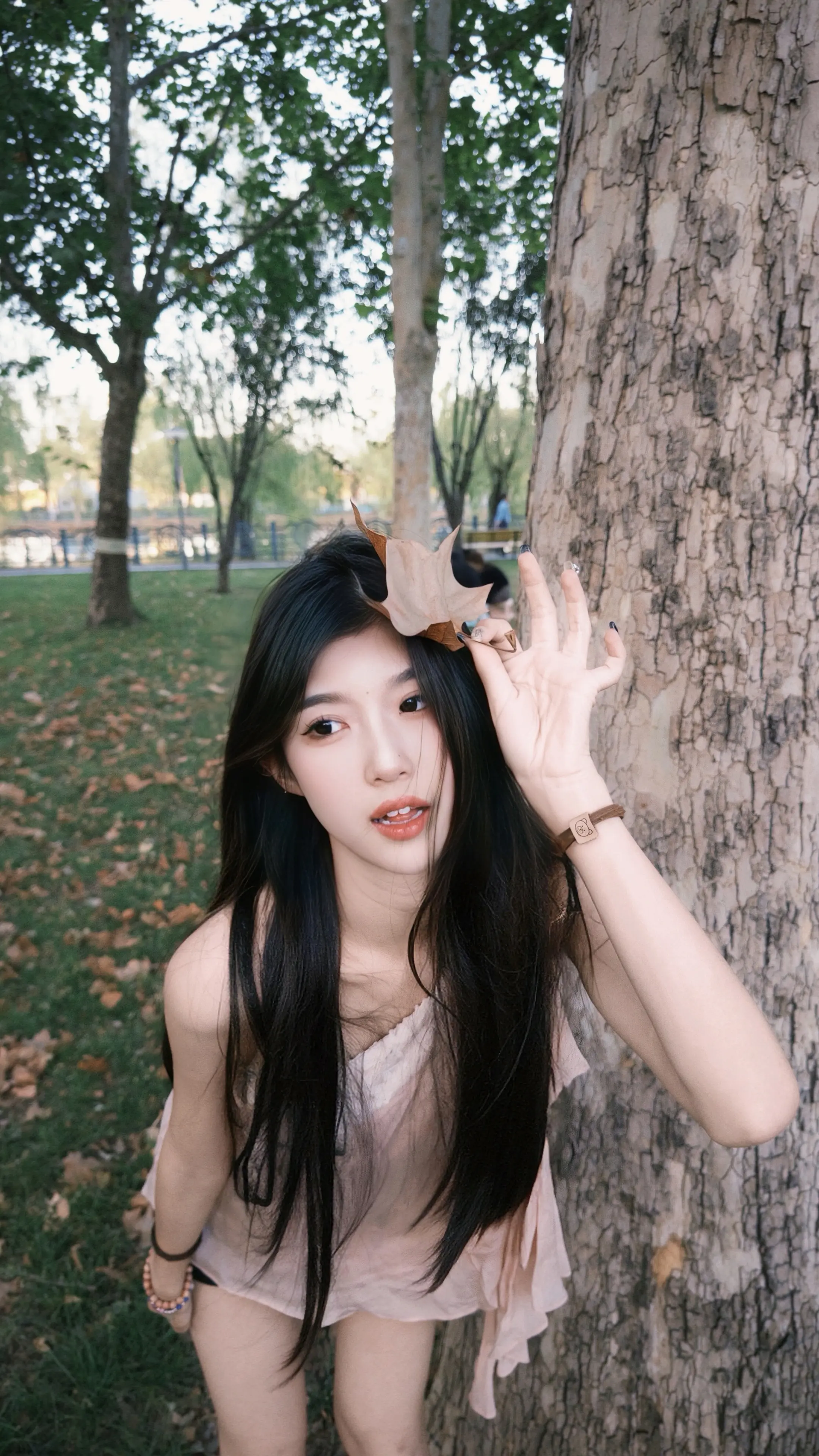 秋天了又该听这首歌了