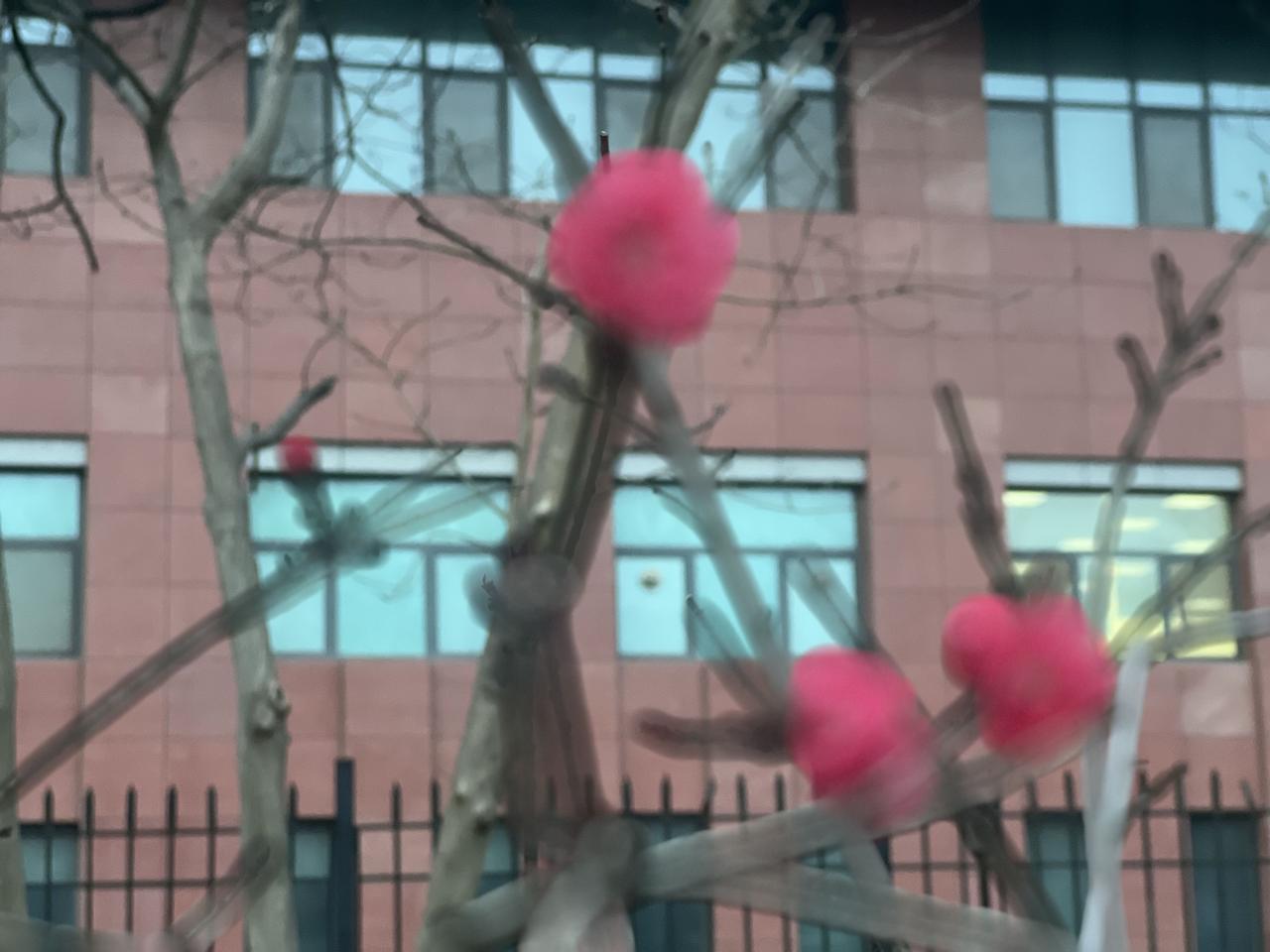 对山东高速男篮外援约翰逊说几句
约翰逊越打越好，是不是经受住了考验？老郑说，还要