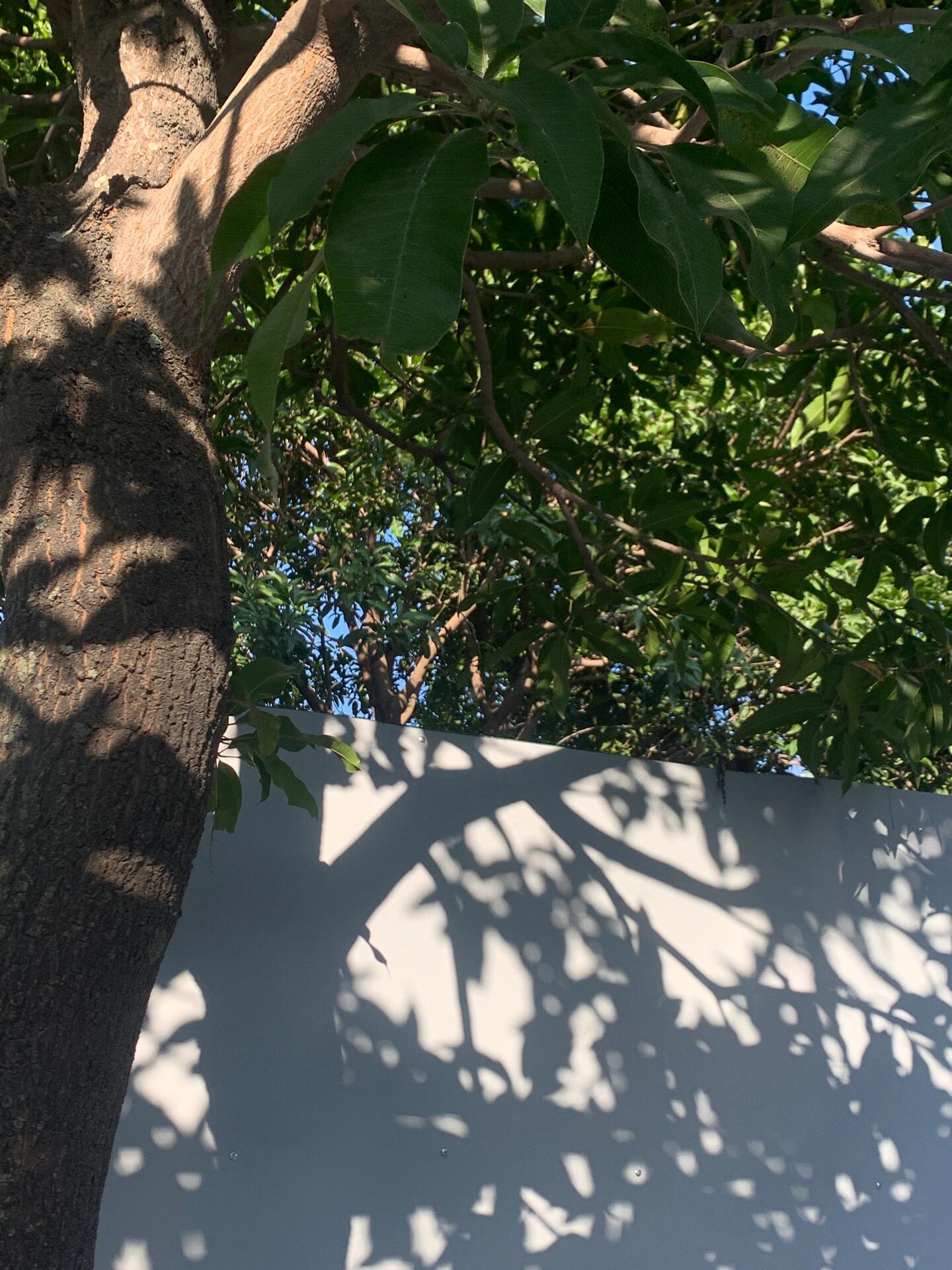 喜欢记录一些零散的日常每次去超市都有种把快乐装进购物车的感觉🛒总是会奖励自己吃