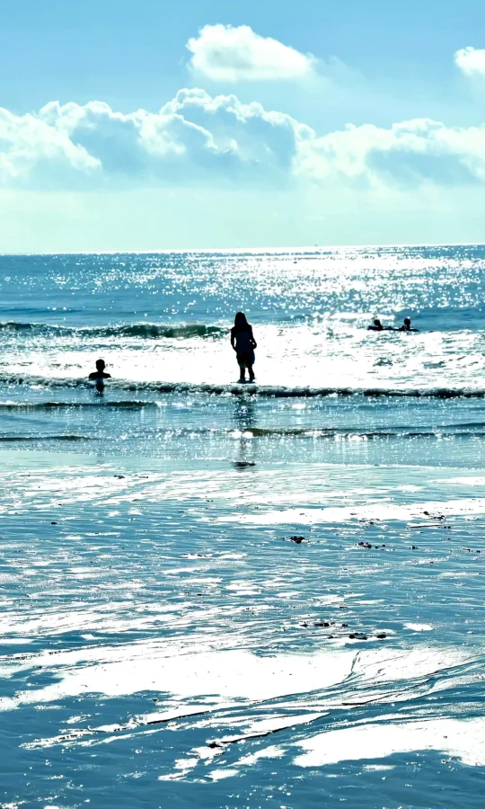 Live实况❗️广东有自己的新西南🌴