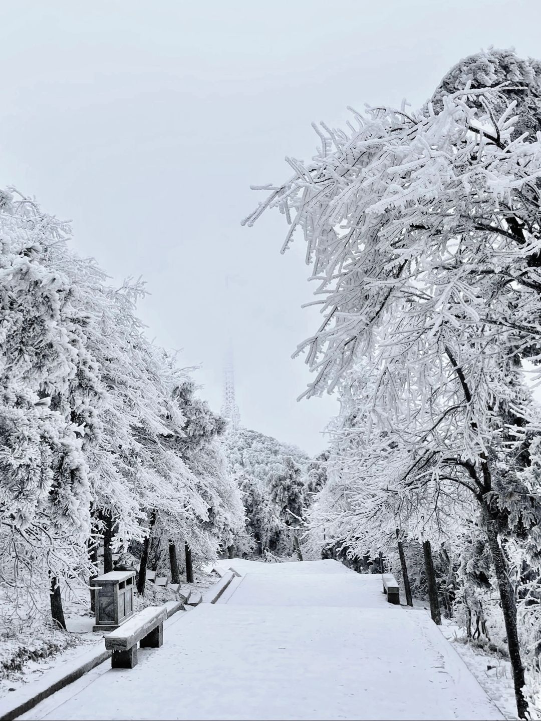 广东📍春节最佳9大赏雪地！z近1.5h直达！