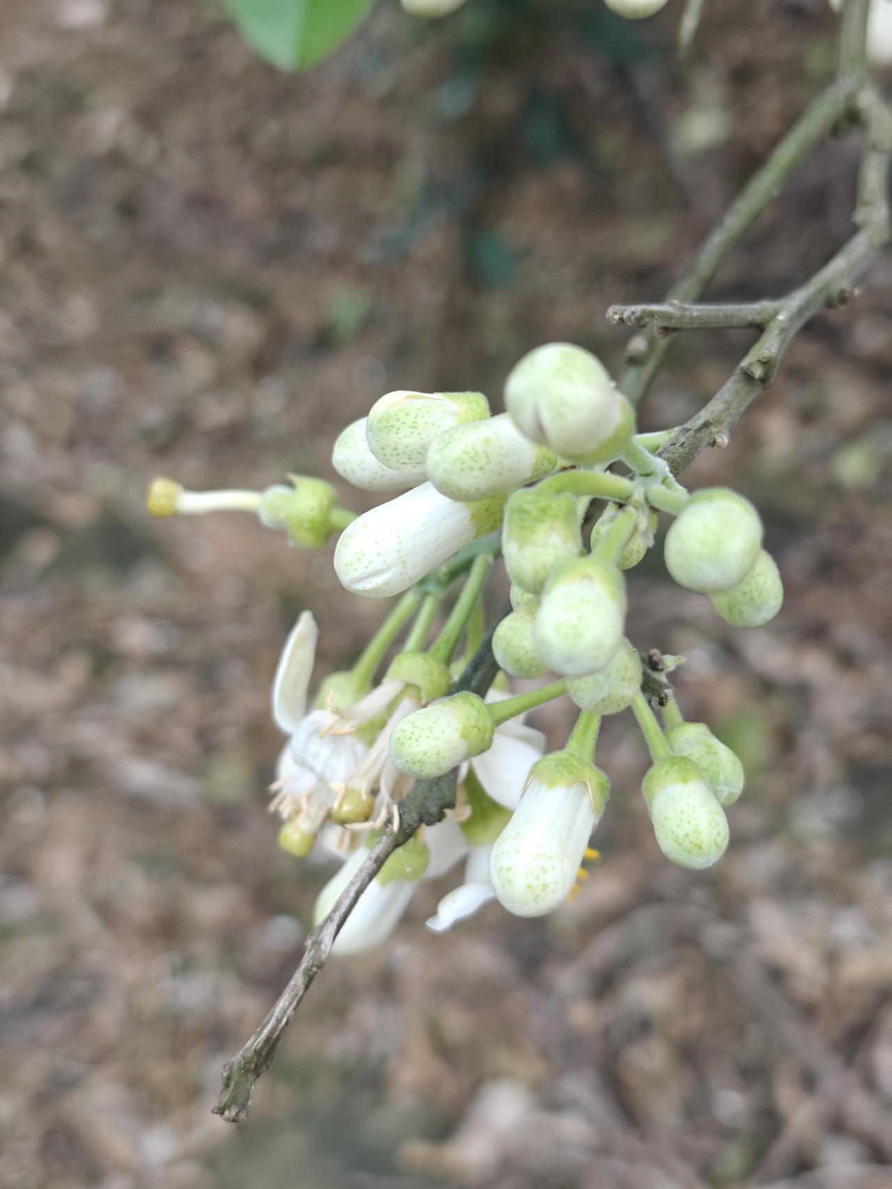你们的这点破事，除了你老公他老婆可能不知道，周边其他人都知，只是你以为他们不知。