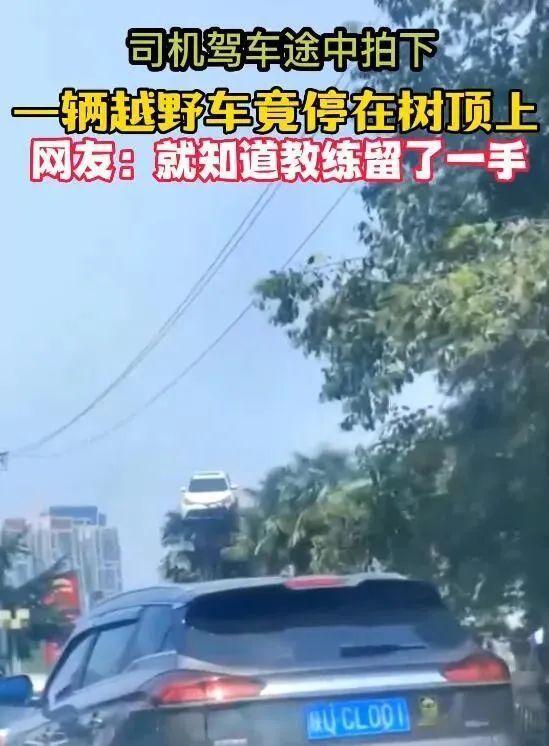 练车时没有给教练买烟他没有教我这技能[全力以赴] 