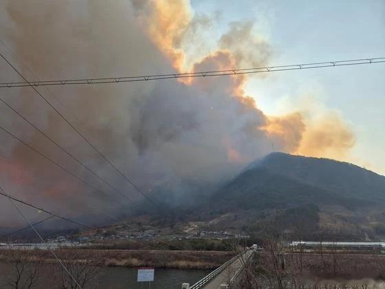 【韩国山火致4人死亡】韩国多地进入灾难状态据韩国山林厅22日消息，因天气干燥与强