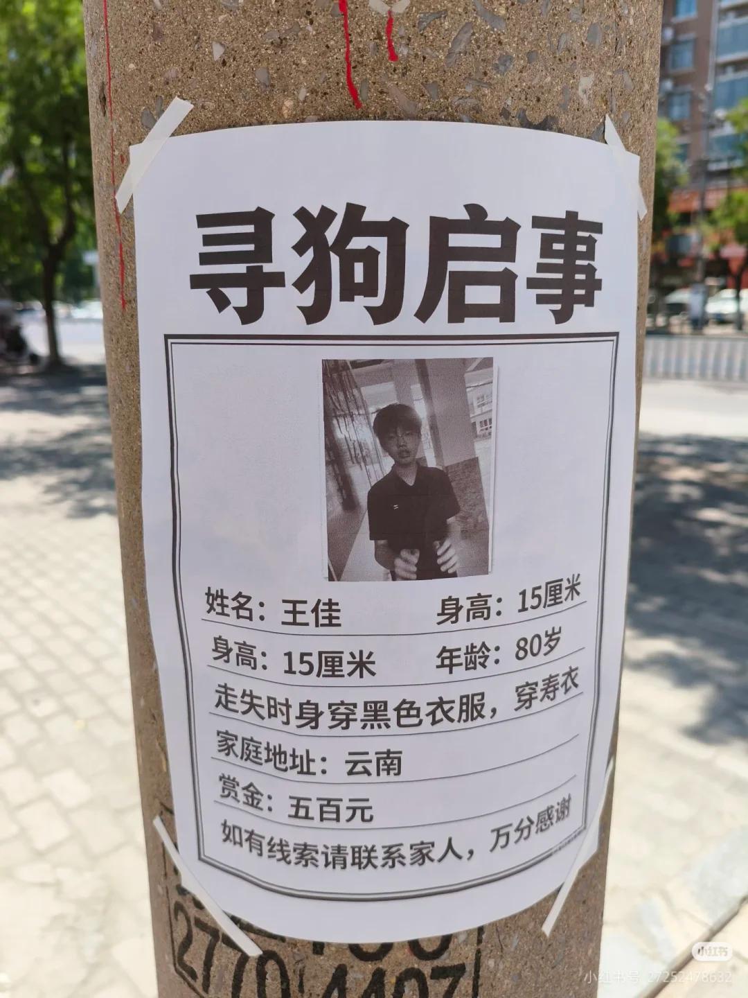 如此《寻狗启事》，是不是哪里不对劲儿啊？