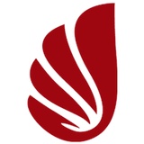 兔剩热玩汽车