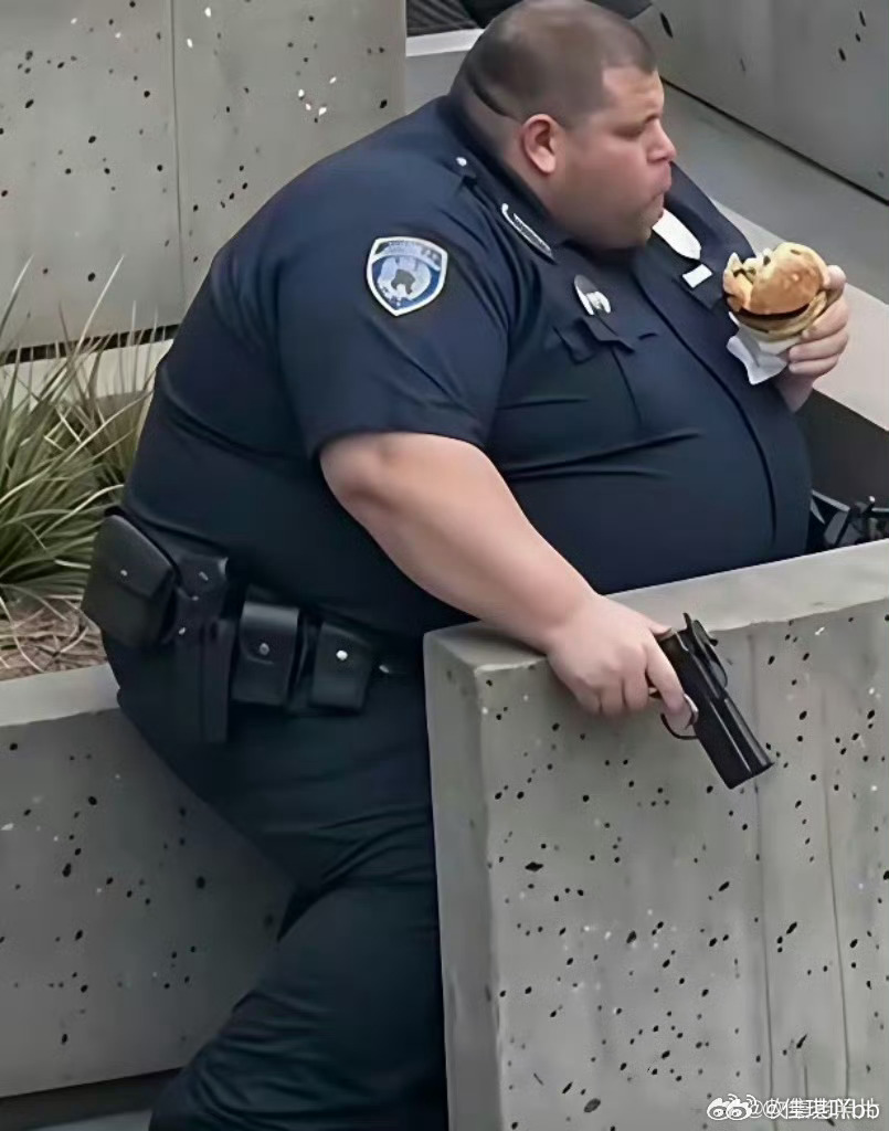 美国的帽子叔叔应该追不上罪犯吧 