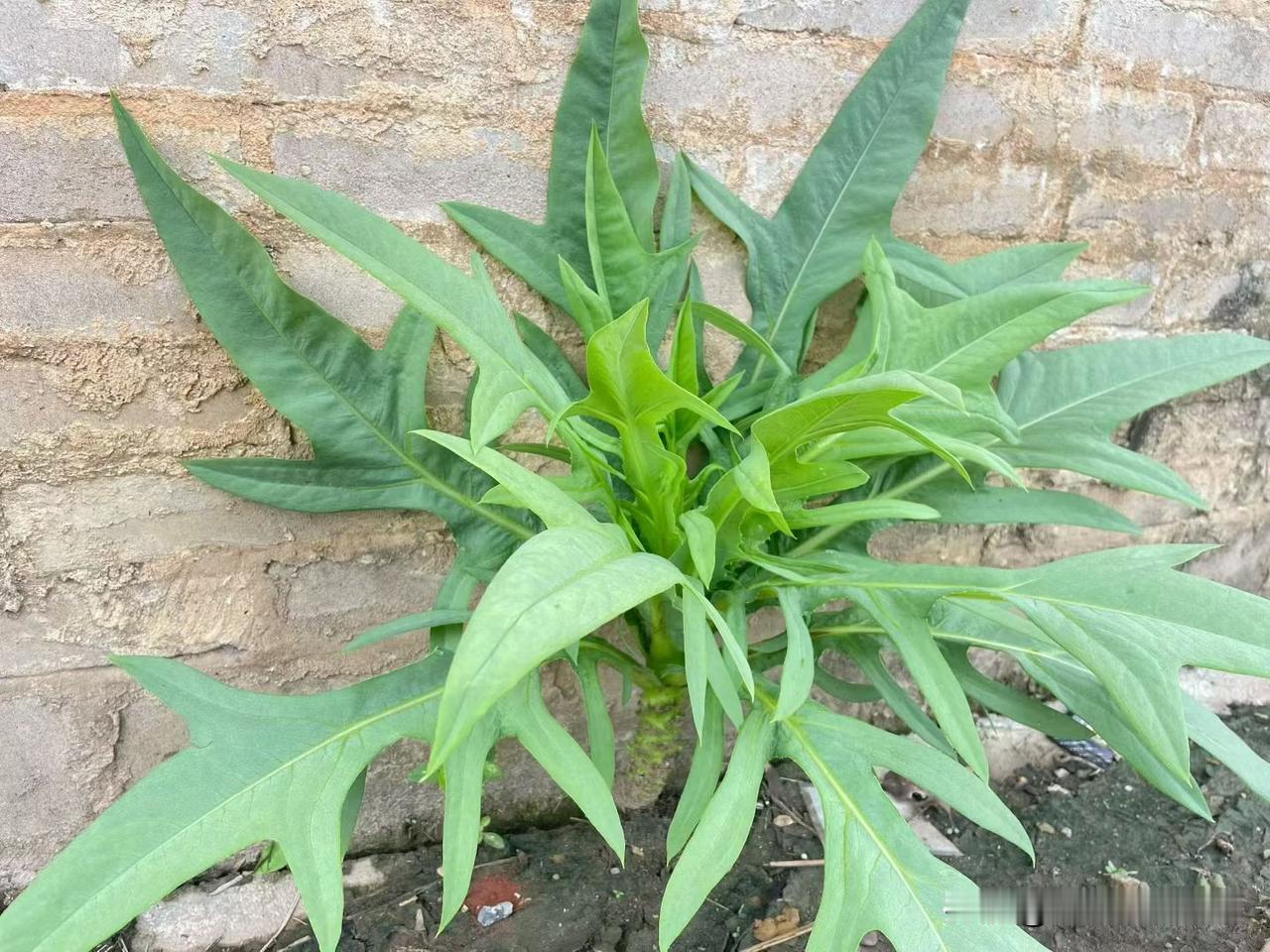 你的每一个看似平凡的努力，都是在为你的未来积累能量；

今天你所经历的一切，都是