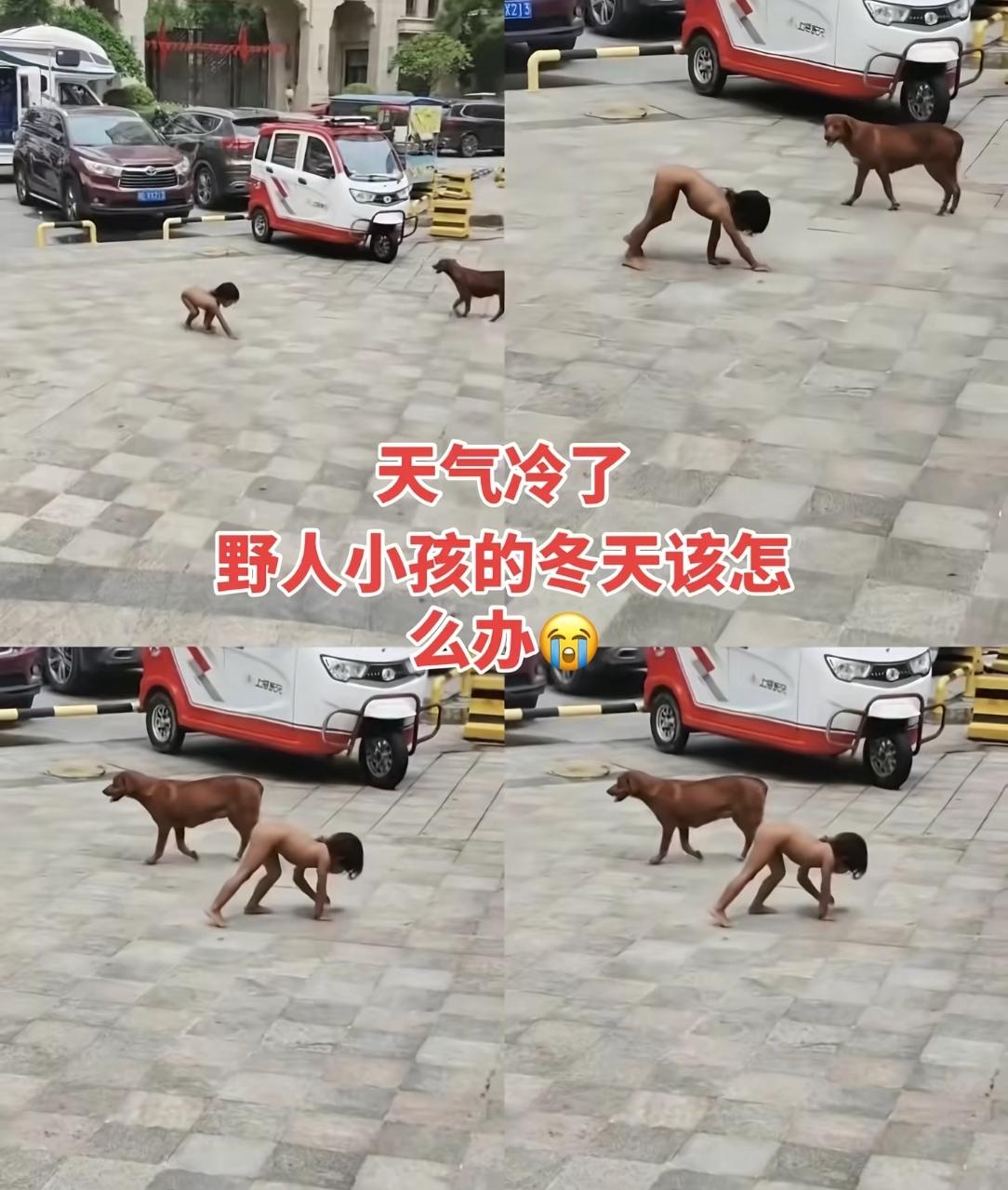 有谁家高学历的父母
会把自己的孩子当犬来训养啊
说什么回归大自然
孩子和狗一起生