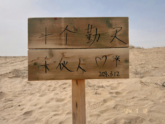 十个勤天在沙漠种植18w棵树 [悲傷]泪目了十个勤天真的有在做大做强！在消失的几