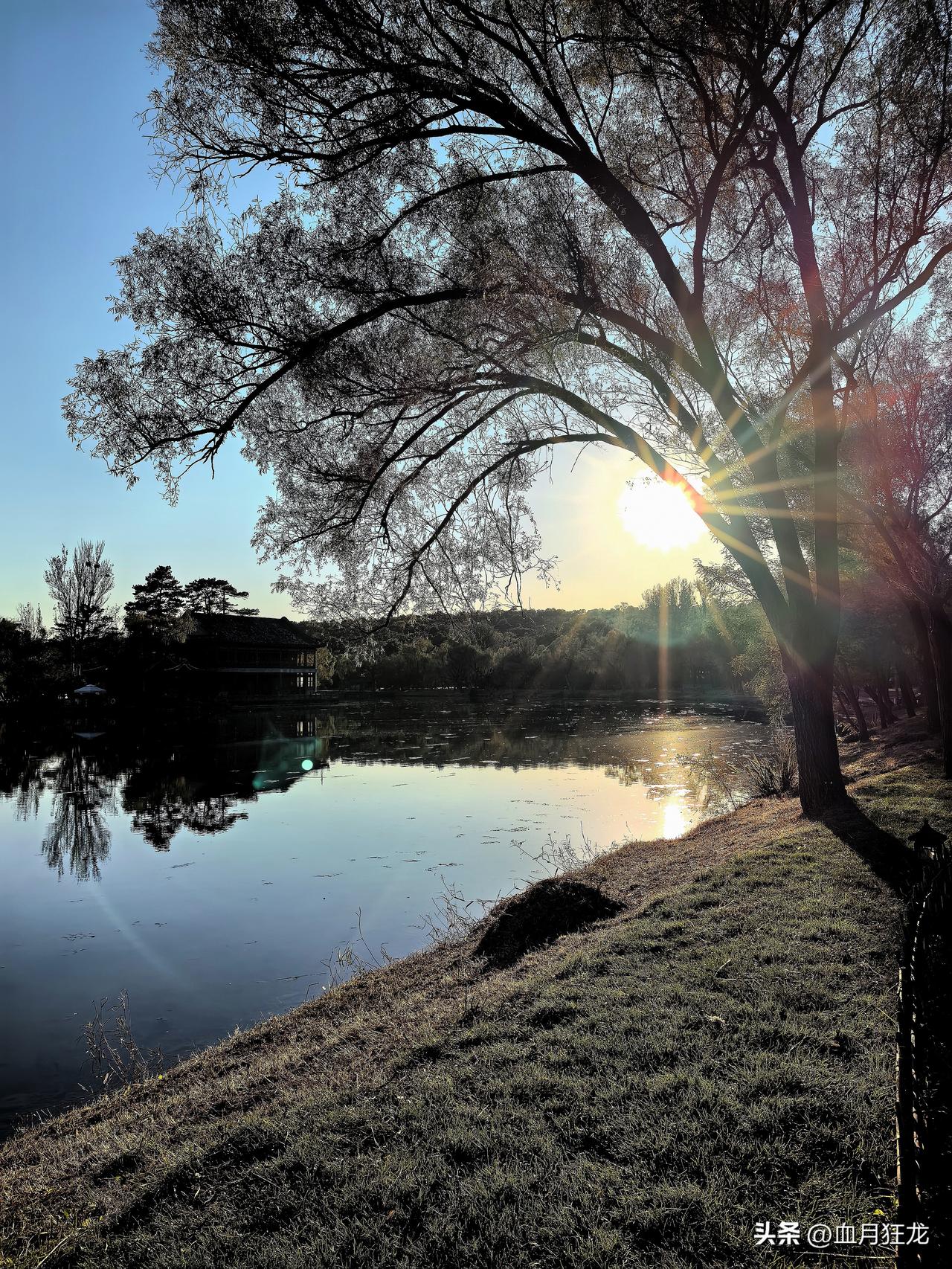 欧洲这帮国家，能把人笑死！
首先说说小德，小德家国防部队正在巴伐利亚州演习，没有