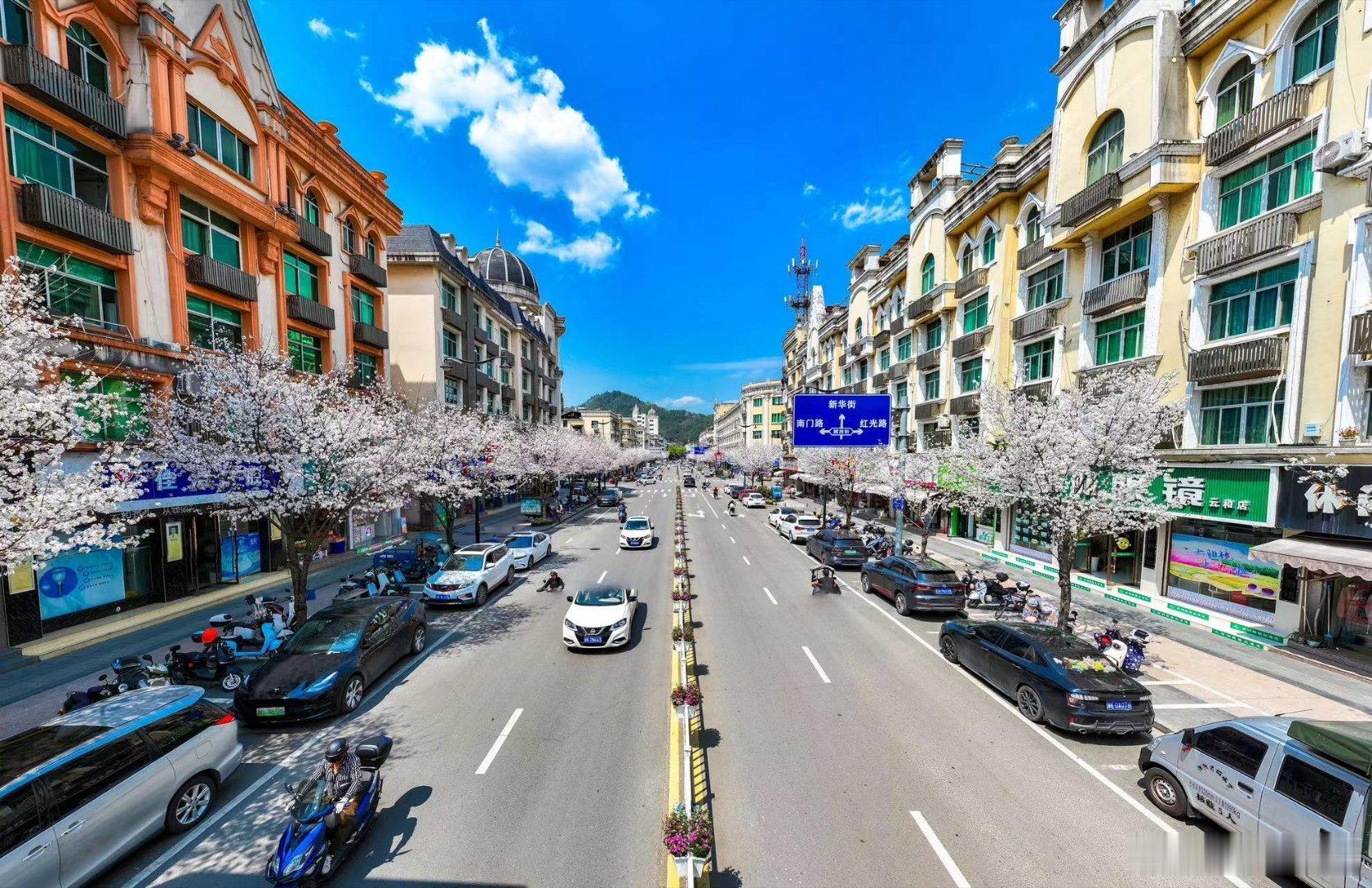 晴空万里，新建路的樱花盛开了，花海如梦，让人沉醉其中，忘却一切烦恼。 ​​​