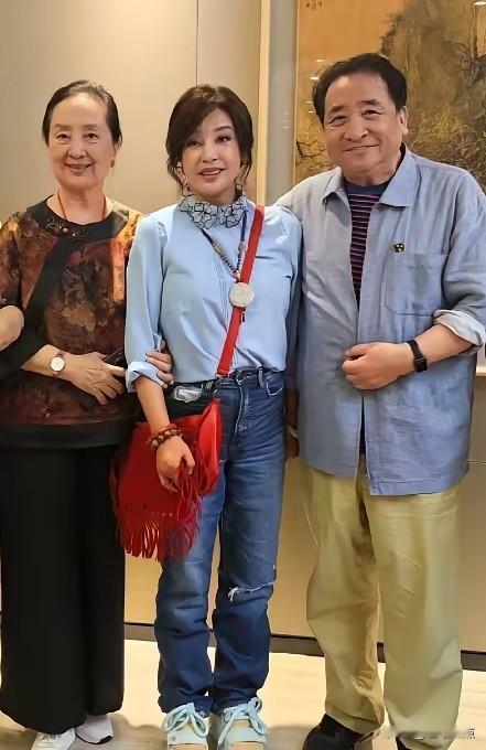 张金玲、刘晓庆、姜昆三位年龄相仿的老演员。外貌和年龄很契合，谁也不显嫩，也不显沧