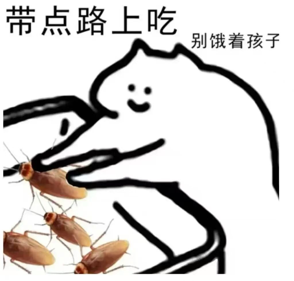 每天一条冷知识 太平洋折翅蠊是蟑螂界里唯一的“胎生选手”。它们体内有个神奇器官叫