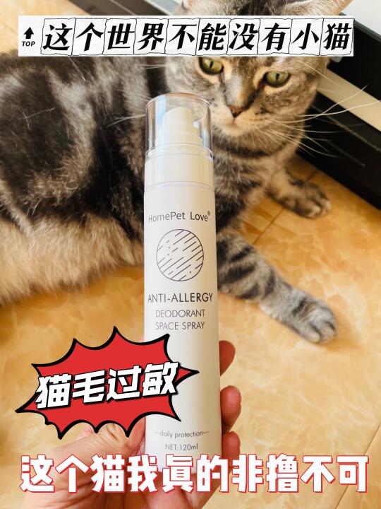 猫毛过敏❓这个猫我真的非撸不可‼‼