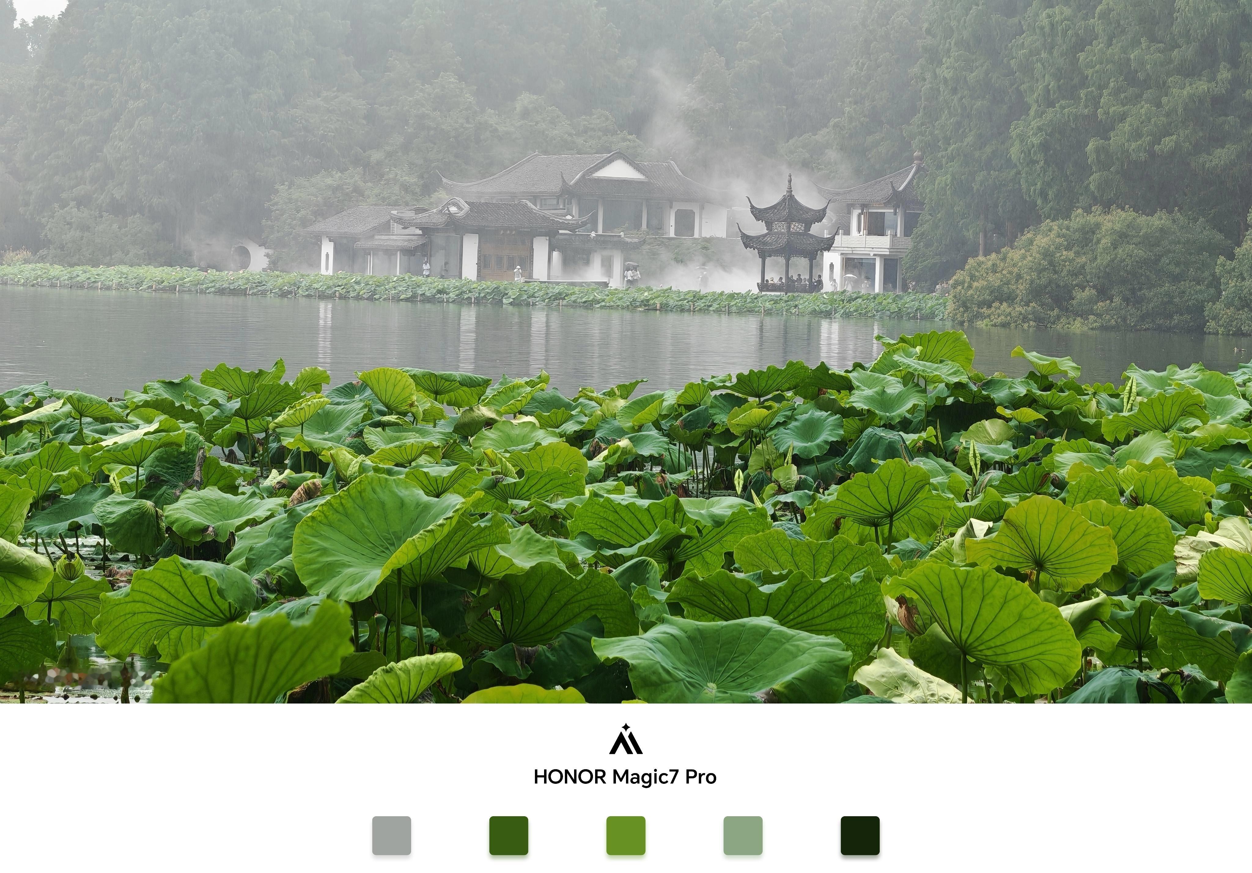 早呀 今天还在西湖 杭州·杭州西湖风景名胜区苏堤