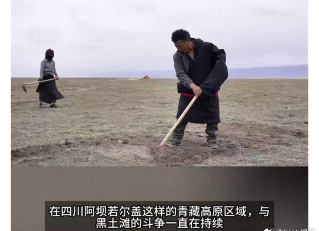 原来草原也会得癌症草原得“癌症”这说法好形象啊！草皮没了，黑土露出来，就像健康的
