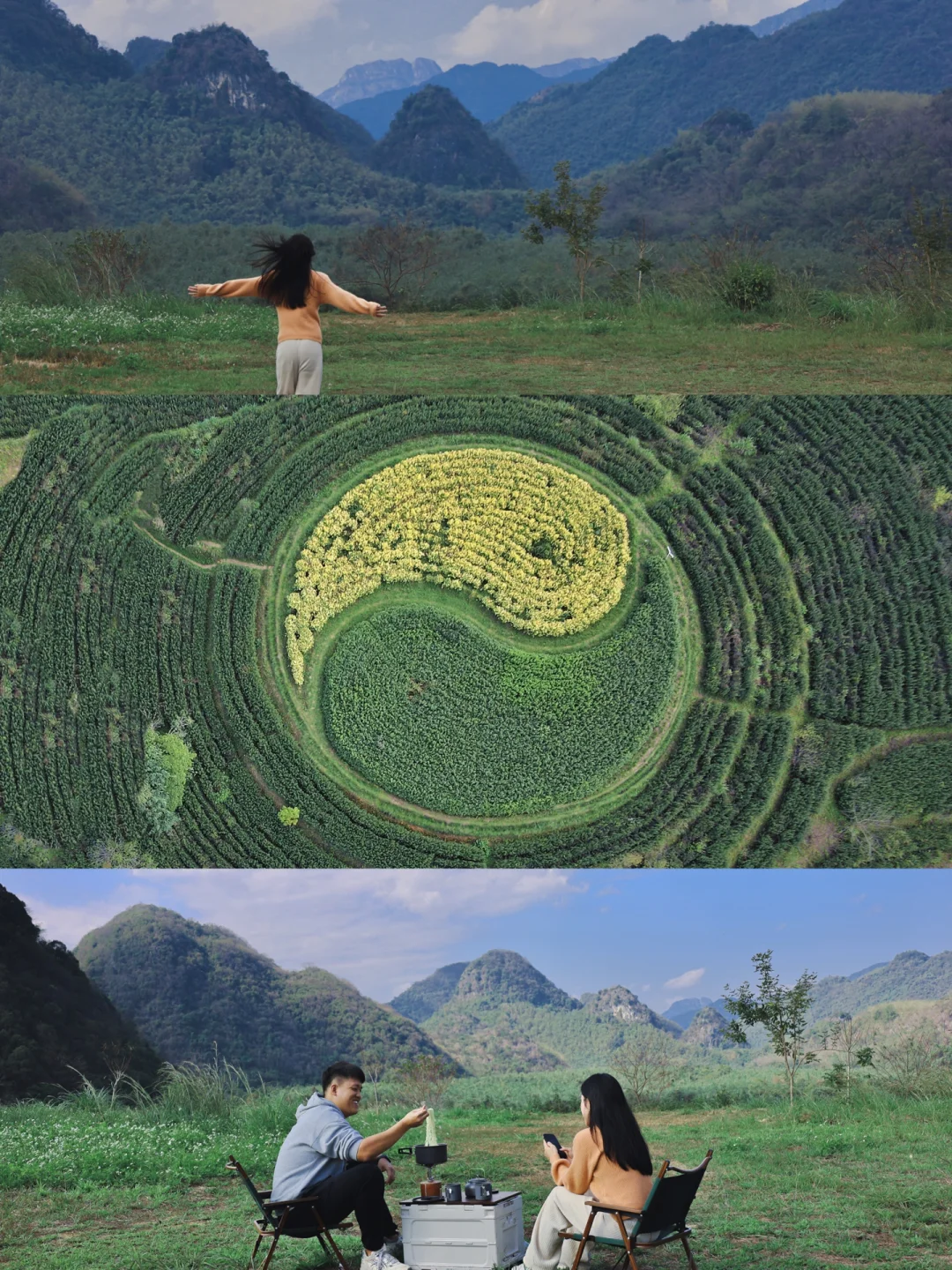 广州周边游｜🚗驾车2小时“八卦阵”茶园🍃