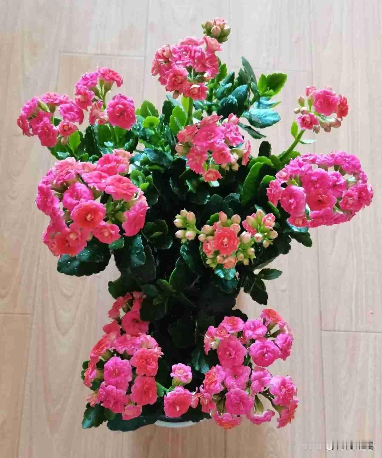 我的今日状态：😁轻松愉快
我这里的天气：多云转晴，气温：零下6℃至0℃，气温有