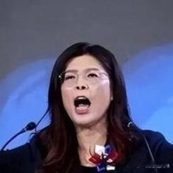 《郑丽文在台北开腔，首次公开否认一国两制，不再绕圈子》郑丽文在台北开口，第一次当