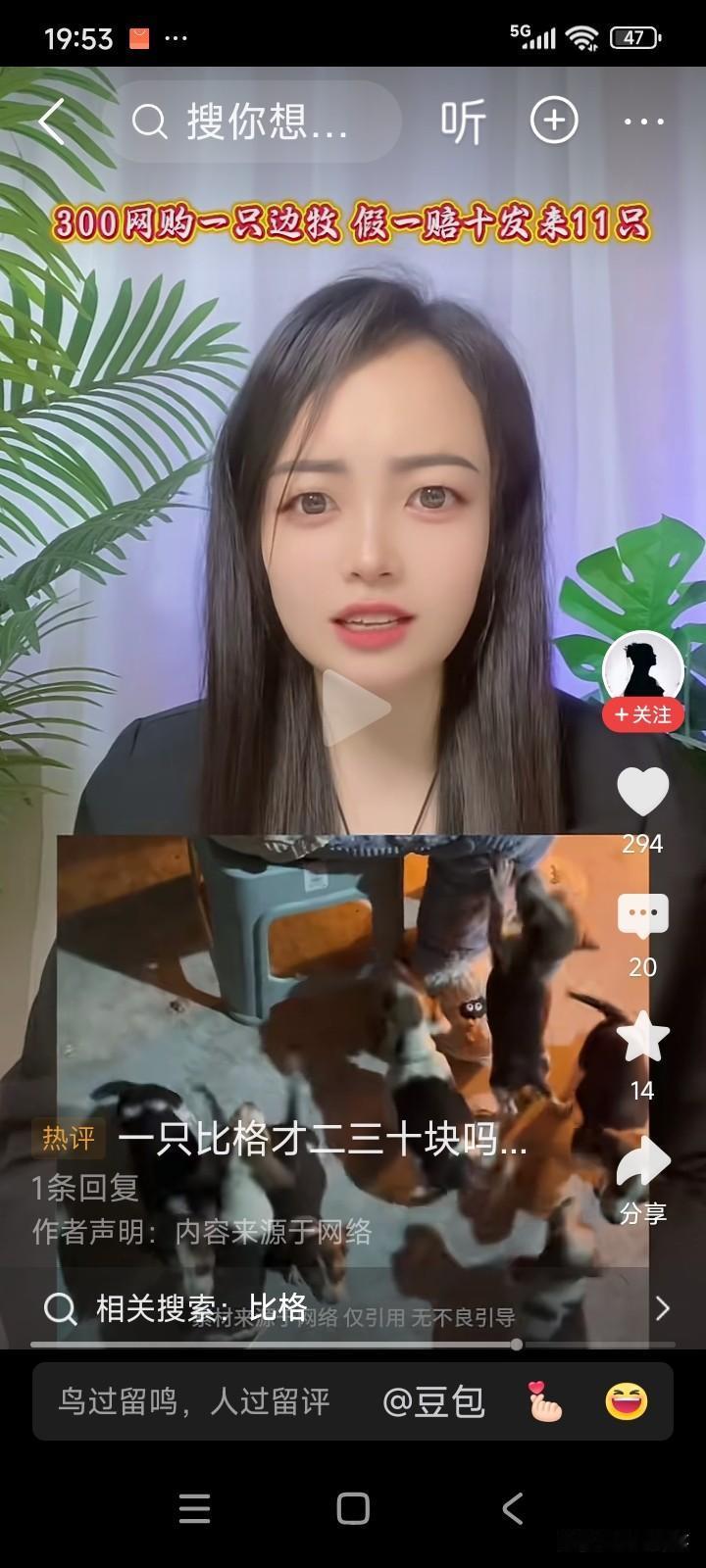 有位女子特别喜欢边境牧羊犬。她在网上搜索，找到了一家售卖边牧的店铺。
女子和店铺