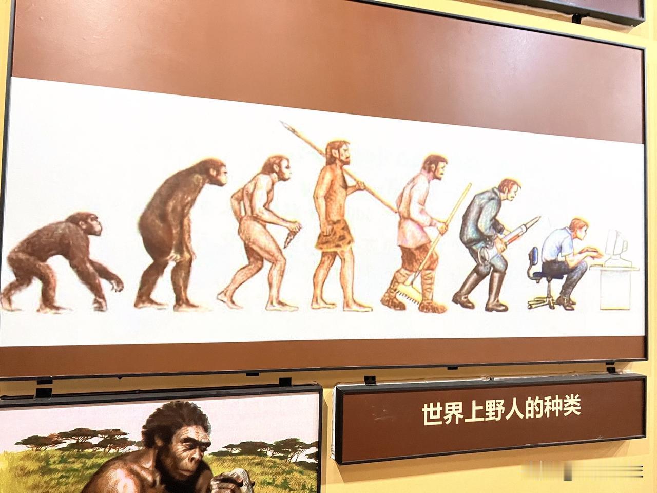 尧治河第三天｜圆满收官

文/襄阳小沫

三天的尧治河之行
到今天就要画上圆满句