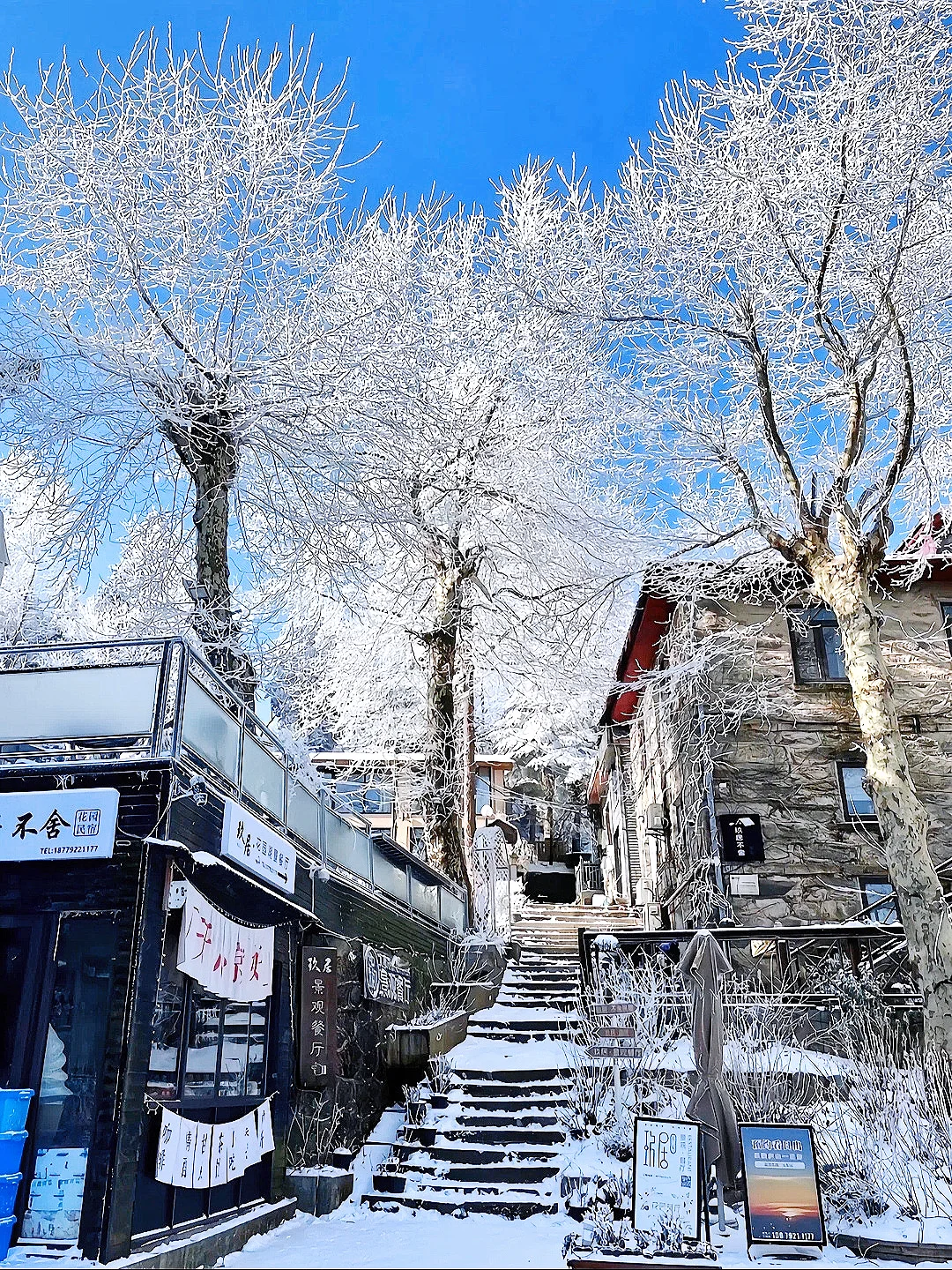 今年冬天一定要去庐山看雪！附看雪攻略⛄️