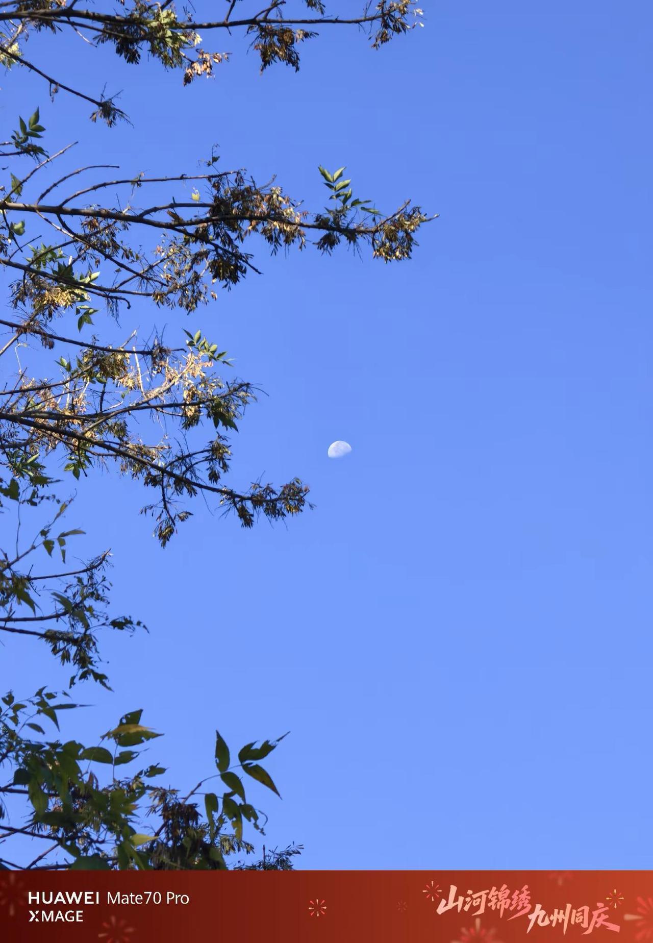 日月同天……