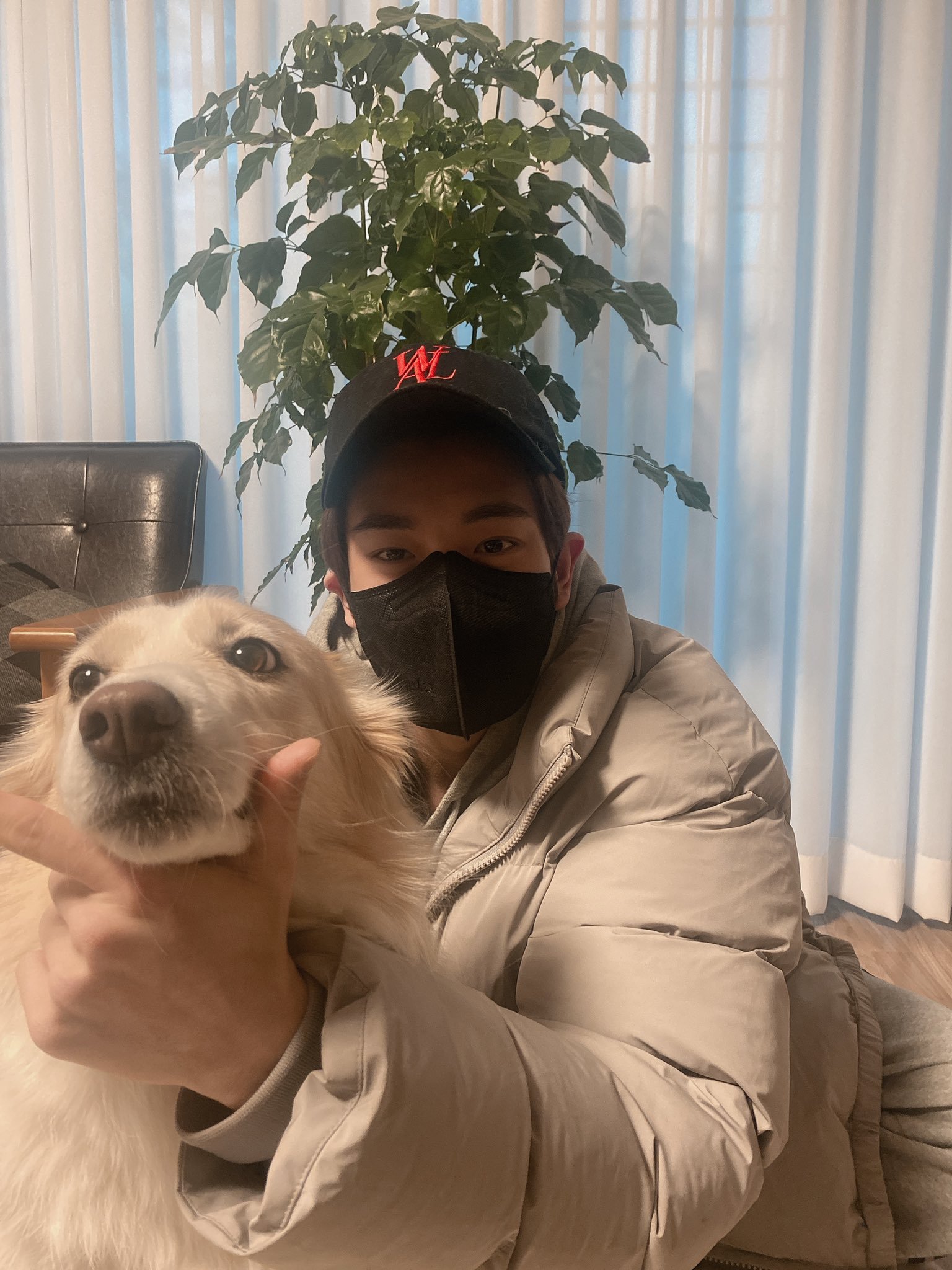 好想这个小Layla～HBD Layla🎂🎂 ​​​