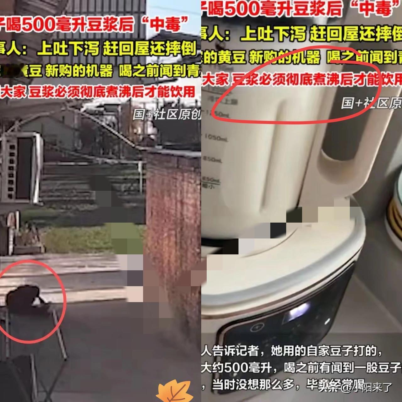 江苏南通，女子新买了一个豆浆机，早上起来用自家豆子打了500ml豆浆，闻到青涩味