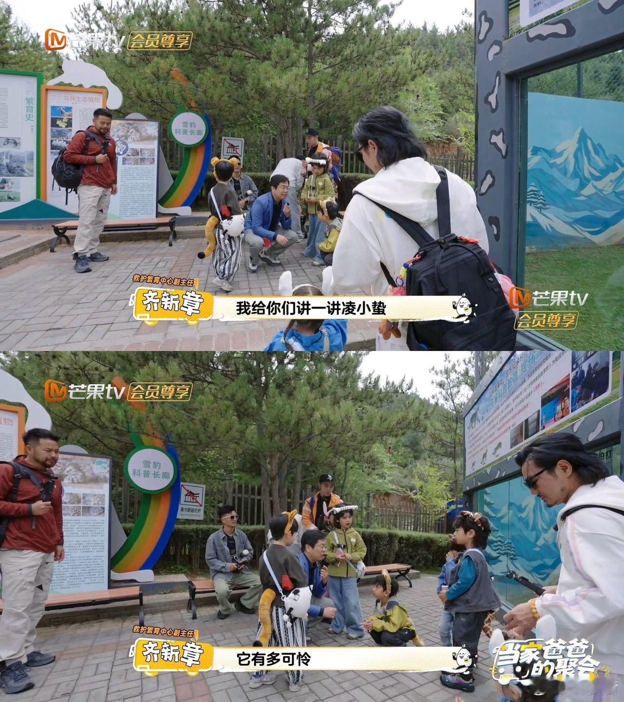 爸爸当家西野特辑 治愈感直接拉满！西野没有强迫动物营业，每个小动物都活得自在，搭