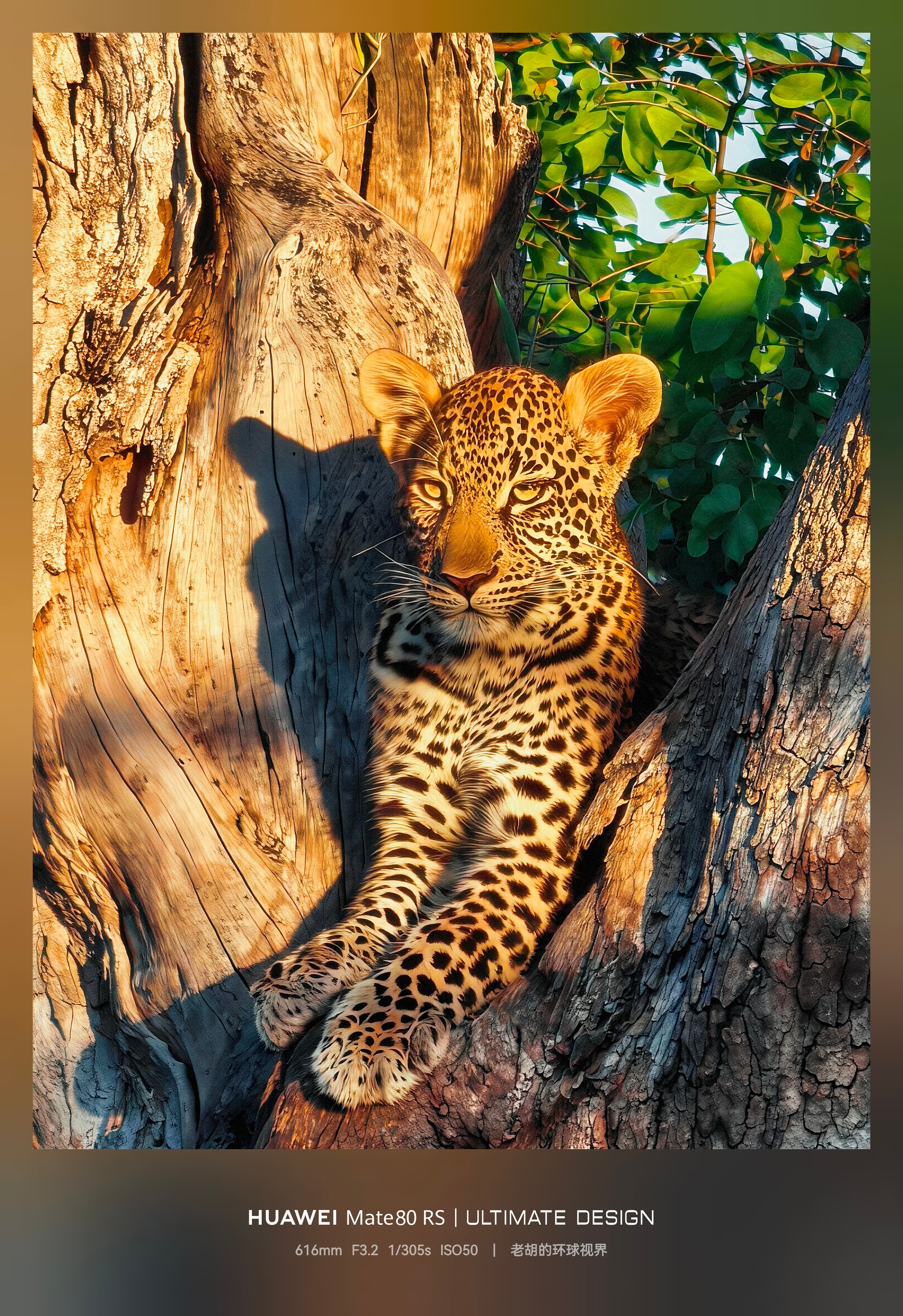 给大家看看我们团队摄影师的华为Mate80RS非凡大师的非洲之行作品，下个月我们