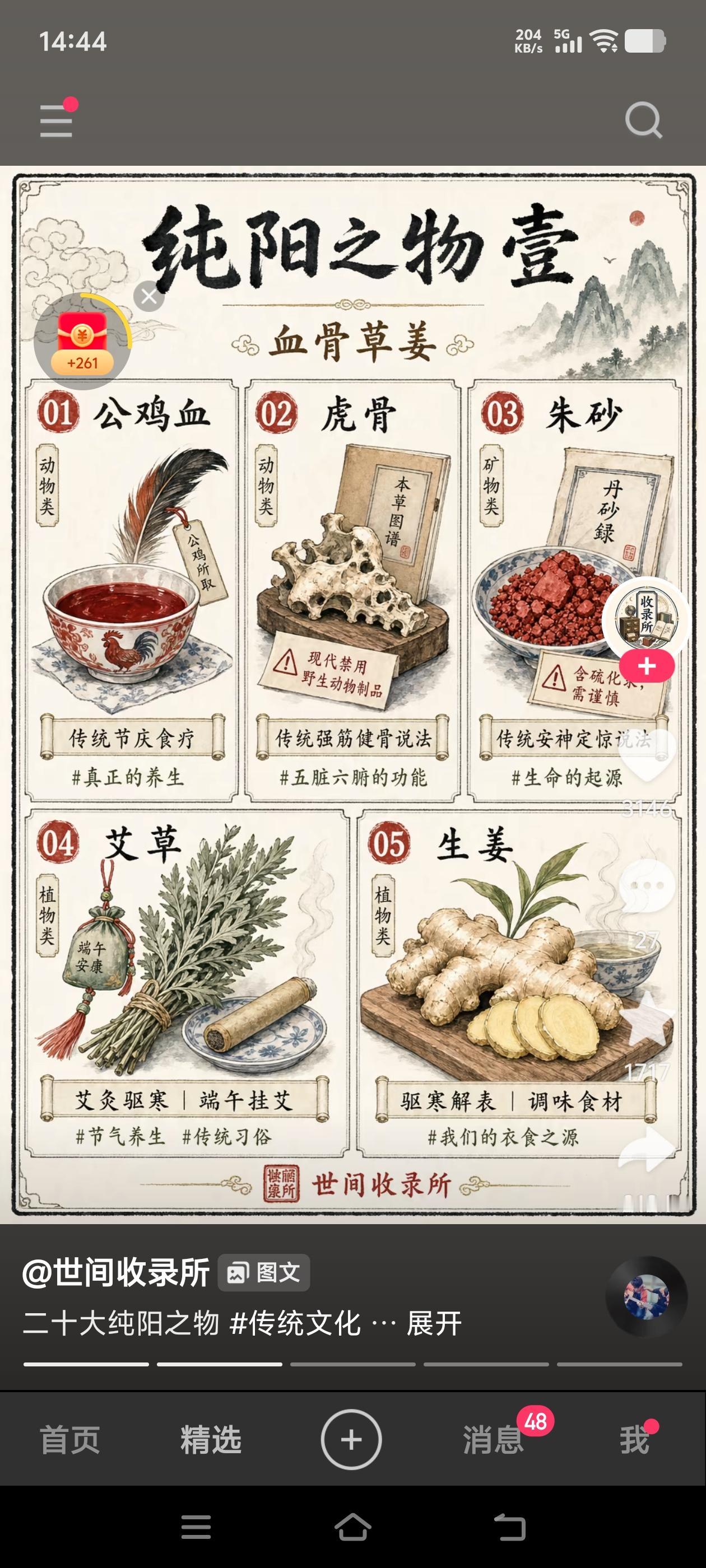 纯阳之物