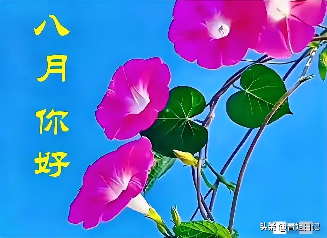 周一早晨，我盯着大盘，心里默念：八月第一天，给个开门红行不行？

消息面挺给力，