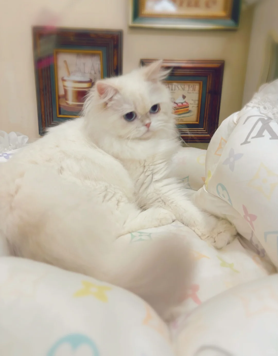 有没有姨姨喜欢😍