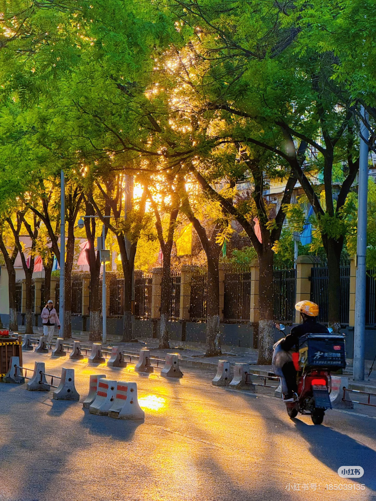 读书可以让人生变得更辽阔我的私人宝藏书单书评 给日子留一道缝隙，让阳光照进来“由