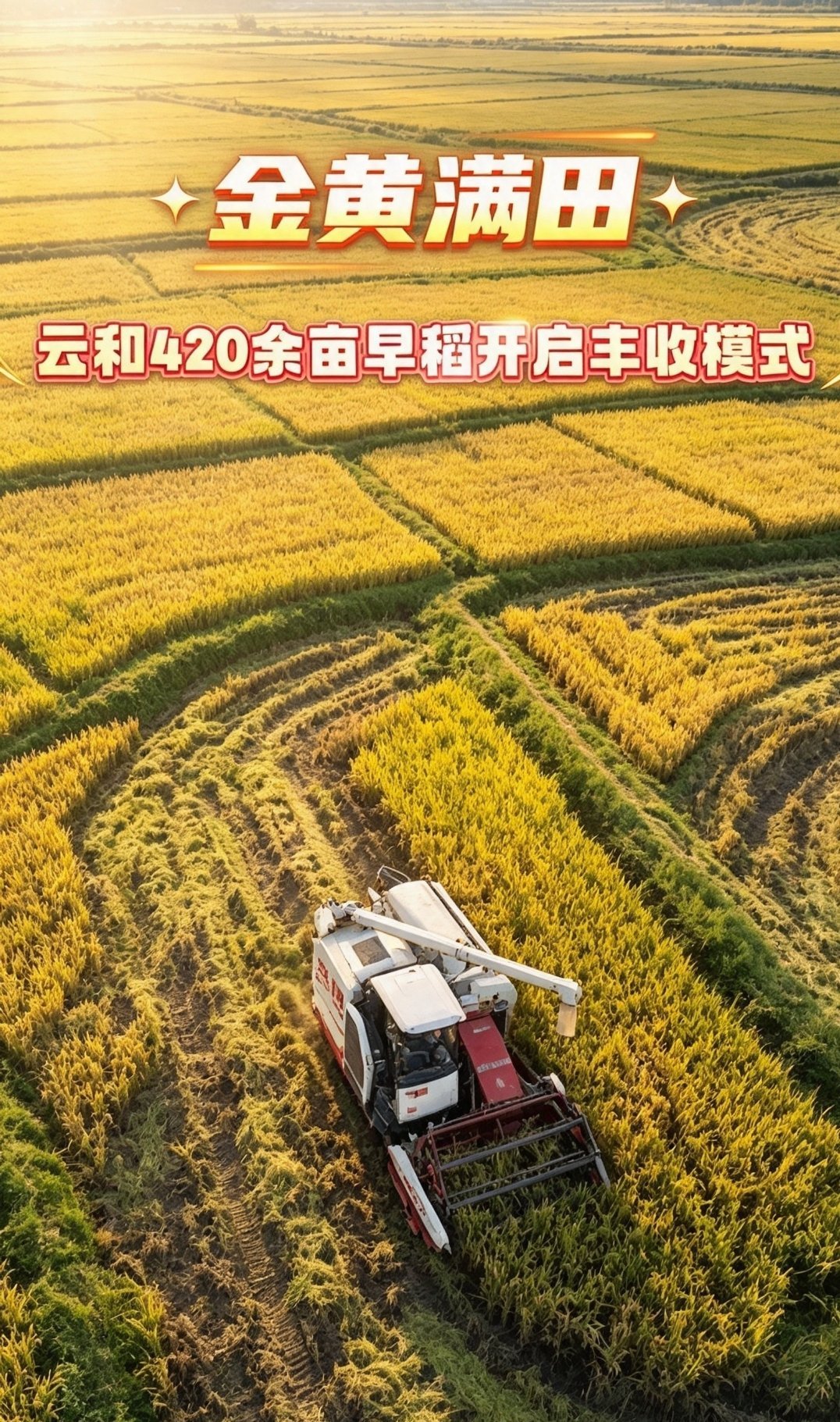 一年中最好的季节来啦，金色稻浪翻涌如歌，每一束稻穗都写满山乡的希望与欢喜金色稻浪