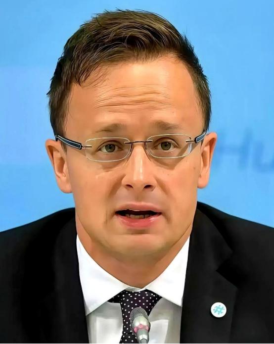 全欧洲估计都得被匈牙利外长这句话给噎一下，他说：“跟中国合作，不是可选项，是欧洲