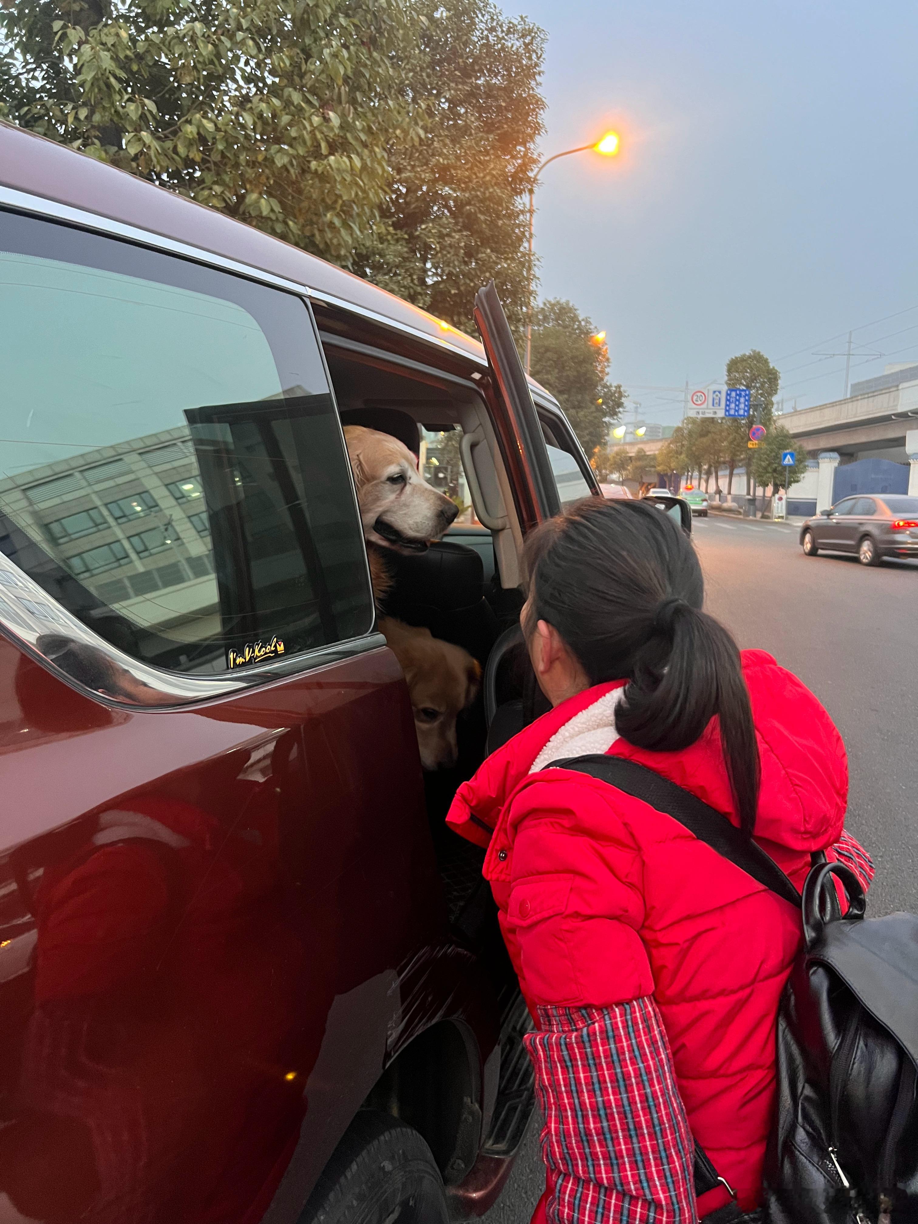 爸爸妈妈都和小狗说了明年春节再见，让他们在家里好好玩儿。爸妈一走，也就意味着年结