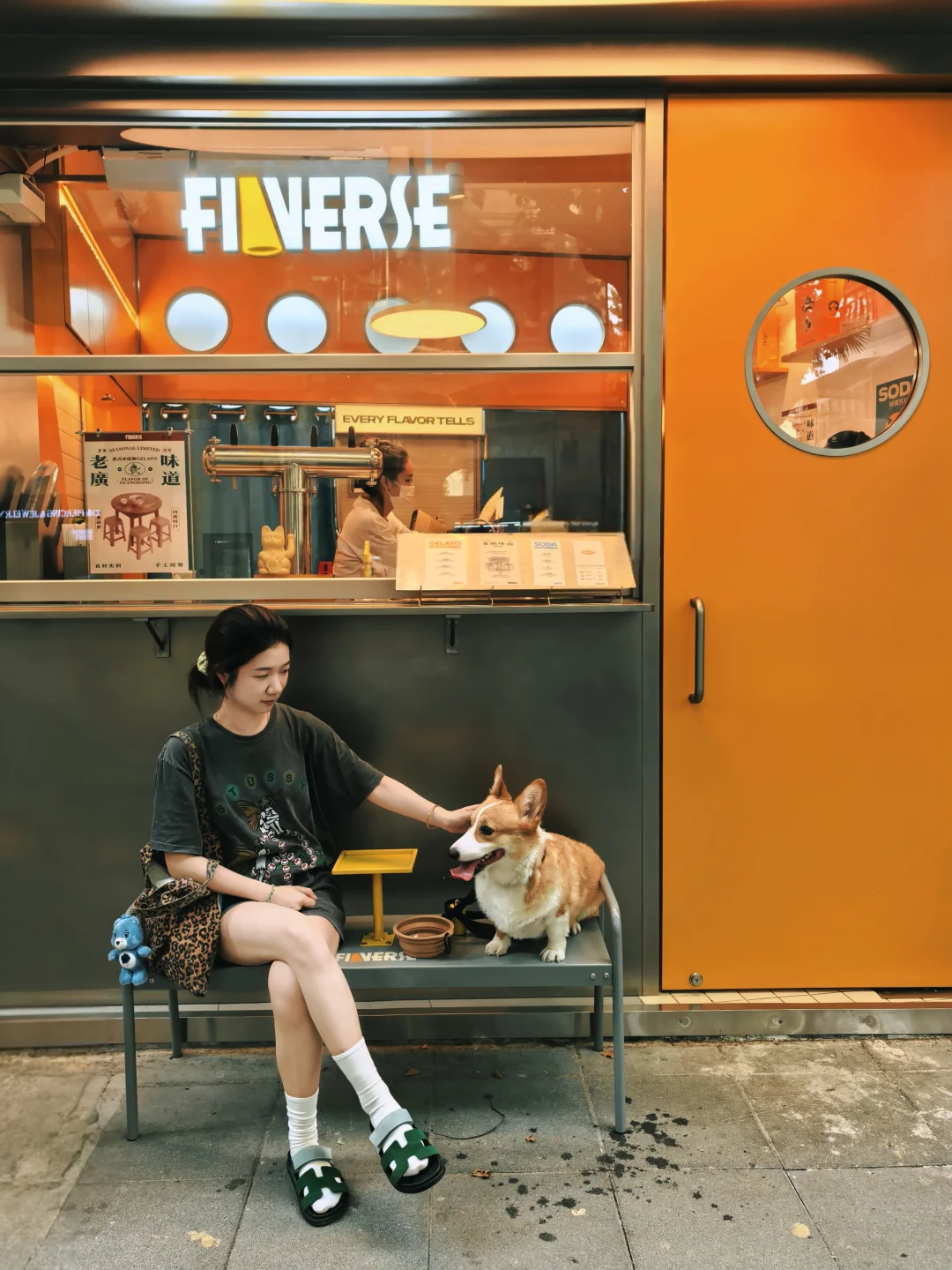 梧桐区的小狗有自己专属的冰淇淋